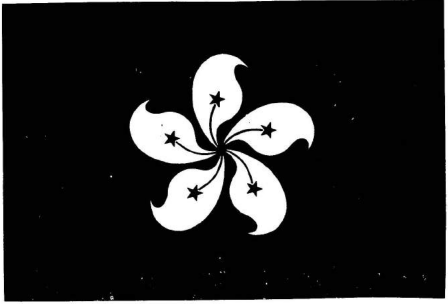 香港特别行政区区旗图案